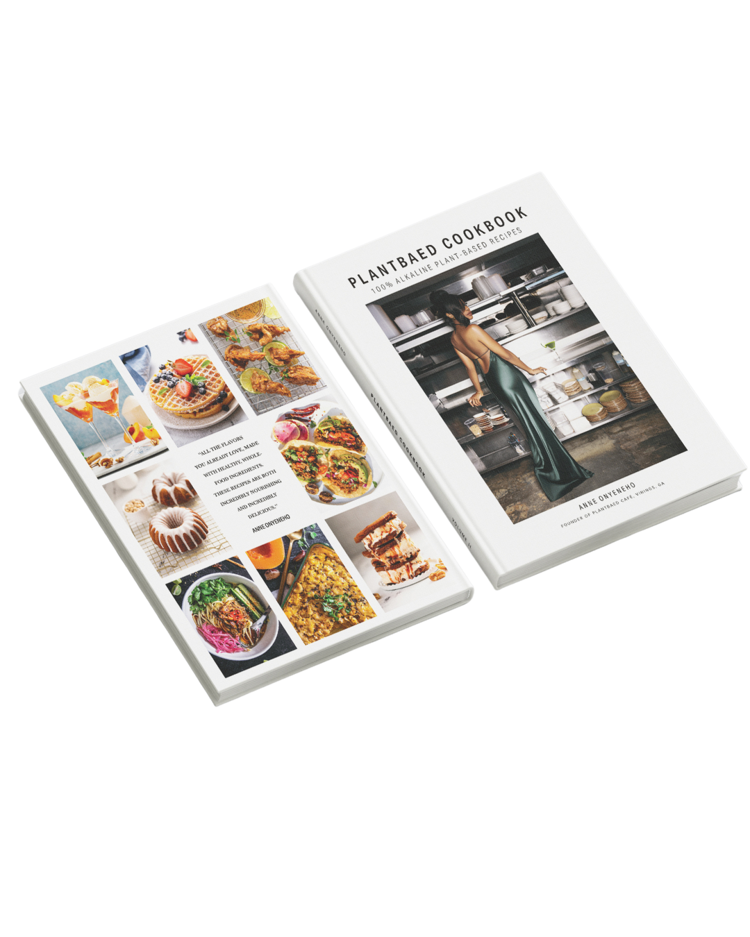 PLANTBAED COOKBOOK [NEW STYLE REPRINT]