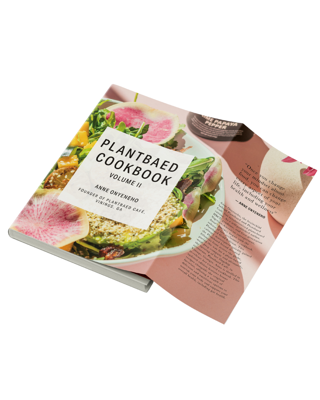 PLANTBAED COOKBOOK [NEW STYLE REPRINT]